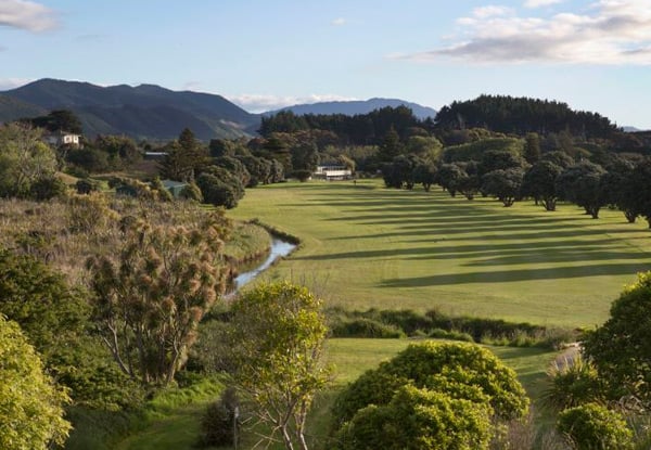 $15 for Nine Holes of Golf or $23 for 18 Holes (value up to $50)
