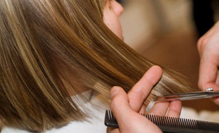$19 for a Cut, Shampoo & Ruffle Dry (value $39)