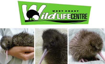 West Coast Wildlife Centre - Franz Josef