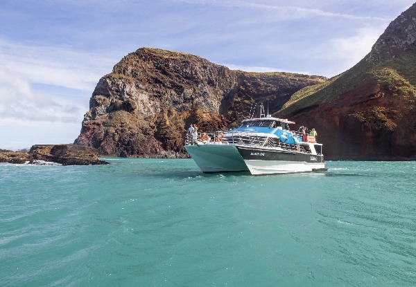 Two-Hour Akaroa Nature Cruise - Seven Options Available - Valid from 11th of April