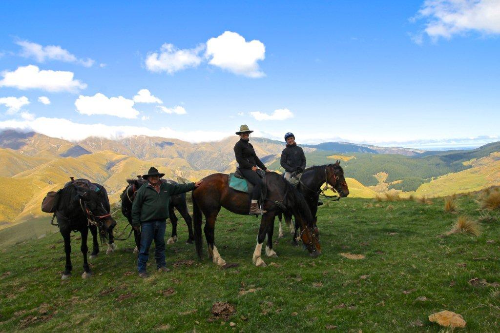 Two-Hour Twilight Horse Trek