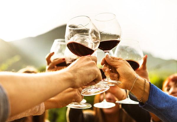 Day Trip to Explore Kumeu Wineries incl. Wine Tasting & Vineyard Platters - Options for up to 10 People