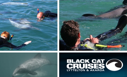 Black Cat Cruises