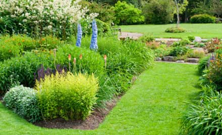 Lawnz & Gardens