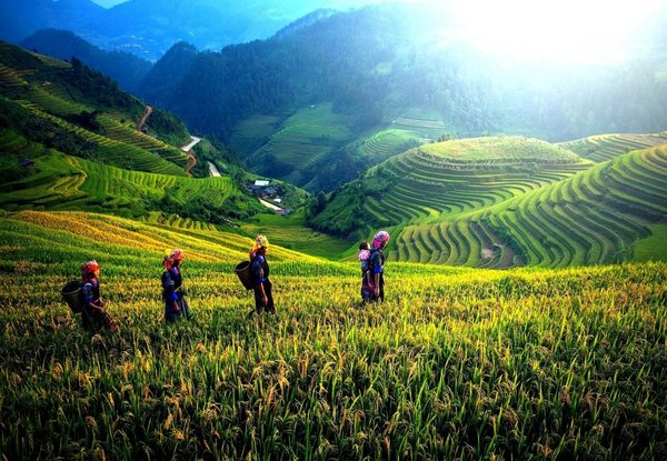 $3,516pp Twin Share for a 19-Day Vietnam Tour incl. Flights, Accommodation, Daily Breakfast, English Speaking Guide & More – Options for Quad & Single Share (value up to $4,813)