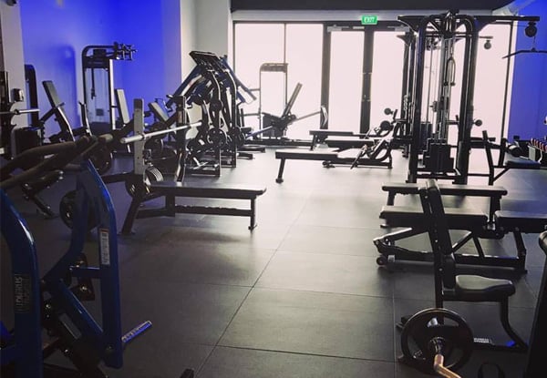 Physique Construction Co