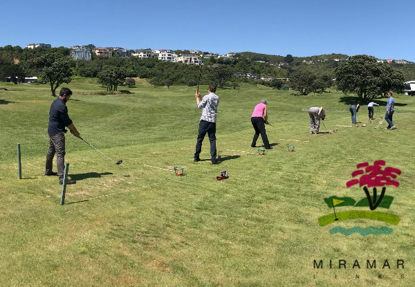 One-Hour Beginners Golf Group Lesson for Four People