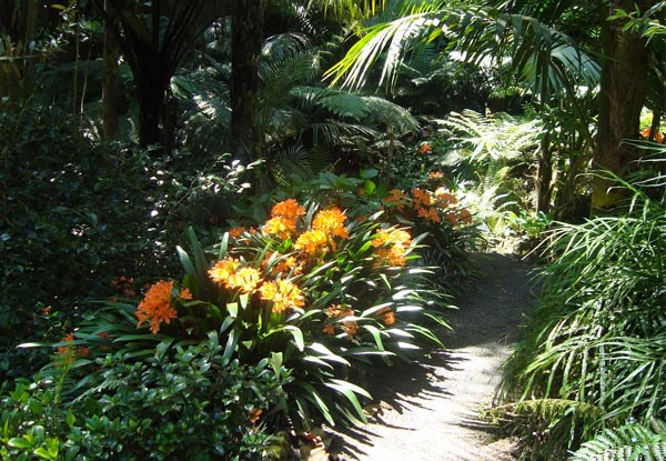 The Eden Garden Society Inc