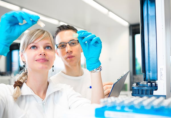 Science Tutoring Whangarei