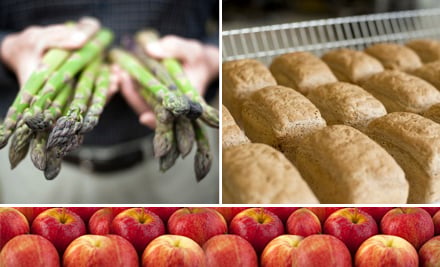 Urban Harvest Limited