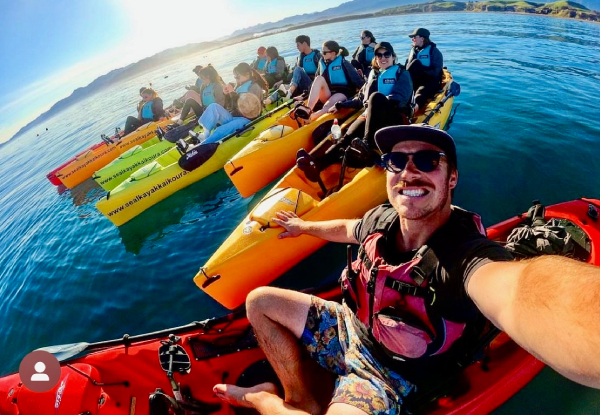 2.5 - 3 Hour Guided Kaikoura Seal & Marine Life Kayaking Experience for One Adult - Options for Child, Two Adults or Four Adults