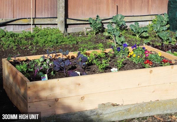 Macrocarpa Raised Garden Bed - Four Sizes Available