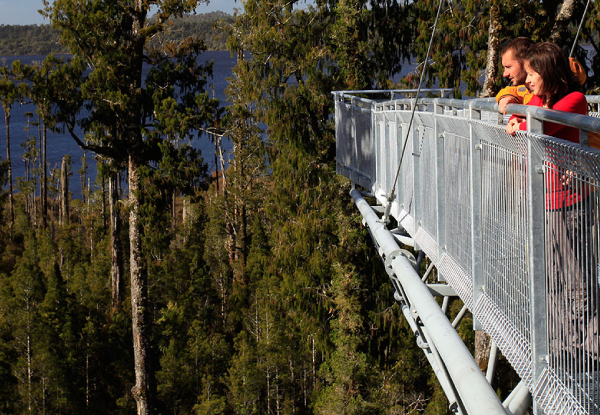 West Coast Treetop Walk & Cafe