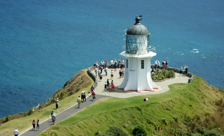 Harrisons Cape Tours