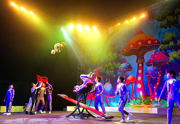 Adult Ticket to the Brand New
'Cirque Grande' - Option for Child's Ticket Available