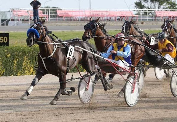 From $35 for a Night Out at Addington Raceway incl. Drink on Arrival, Racebook, Buffet Meal & $5 Betting Voucher – Options for up to Four People –  Thursday 21 April (value up to $280)