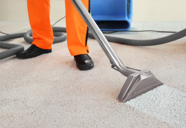 Professional Carpet Cleaning Service - Options for One to Five Bedrooms