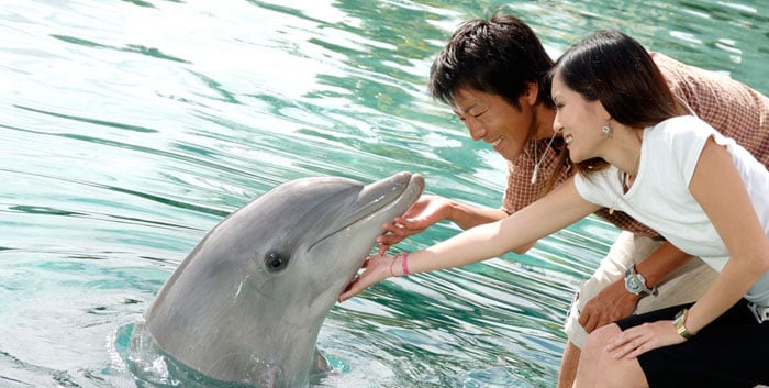 Sea World Resort & Water Park - Gold Coast