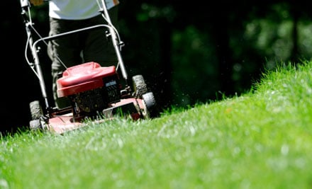 The Other Guy, Lawn & Garden Care