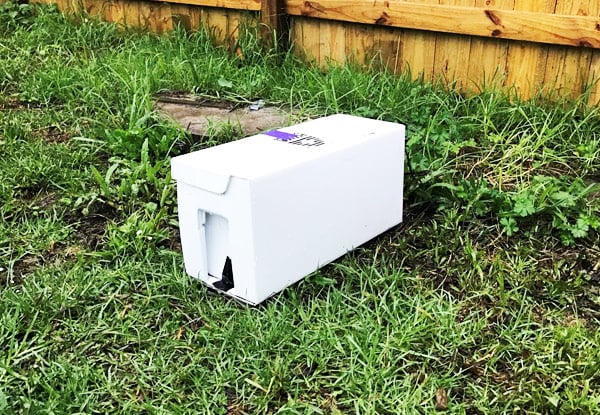 From $350 for a Premium Beehive with Options for Beekeeper Visits