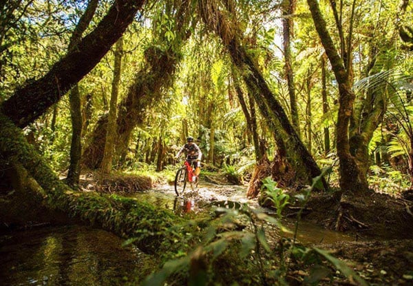 $39 for Two All Day Mountain Bike Rentals