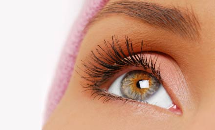 Ashhurst Natural Therapies & Lashique