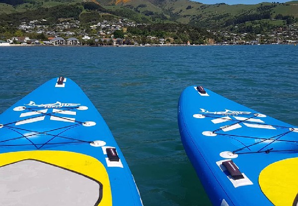 Akaroa Paddleboarding