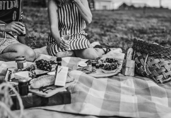 Village Picnic Ltd