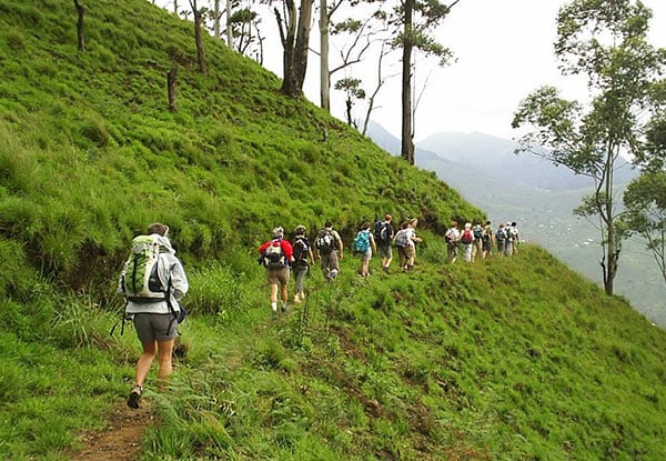 Lanka Tour Managers