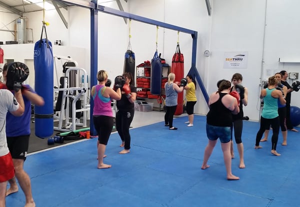 Knockout Training Systems