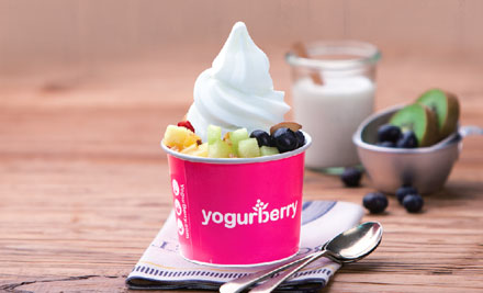 YogurBerry NZ
