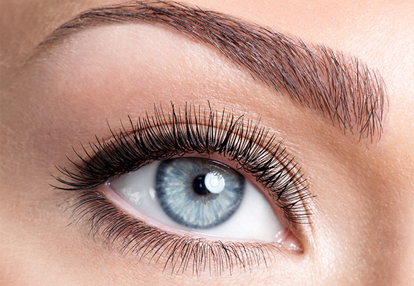 Eyeworks Trio or Eye Lash Lift - Option for Eyelash lift with Eyeworks Combo