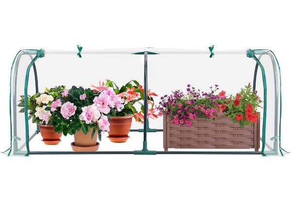 Garden Plant Flower Greenhouse Tunnel