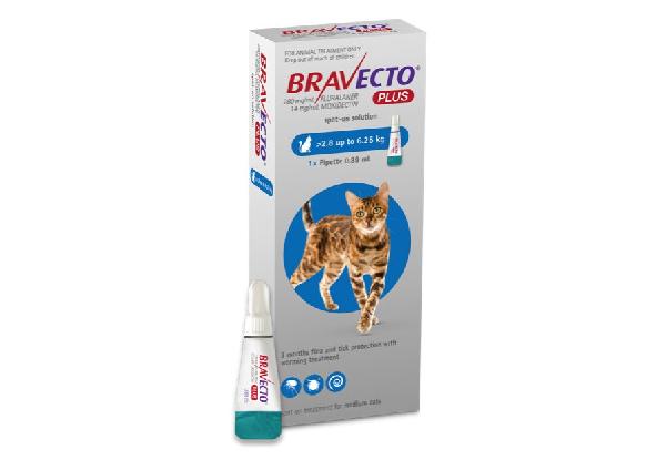 Bravecto Plus Medium Cat Spot On Flea & Tick Solution - Elsewhere Pricing $87.99