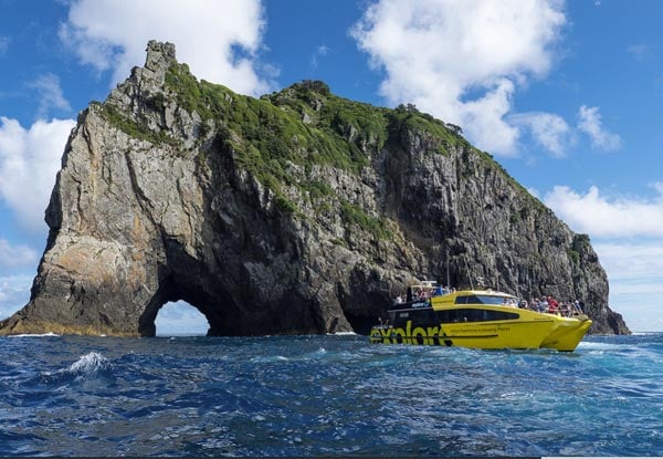 Discover the Bay Cruise - Hole in the Rock Cruise incl. Dune Rider Tour to Cape Reinga for One Person - Option for Two People