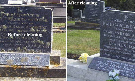 Cemetery Cleaners