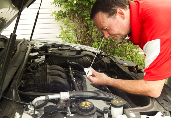 Automotive Transmission Fluid Flush or CVT Transmission Fluid Flush