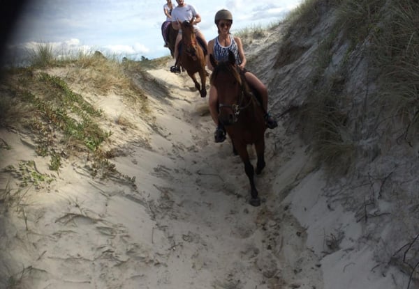 One-Hour Beach Horse Trek for One Adult - Options Available for a Child, Two People & a Two-Hour Intermediate Trek — photo 6