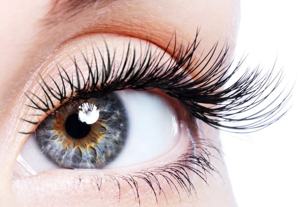 Full Set of Individual Nouveau Eyelash Extensions incl. Eyebrow Shape & Tint