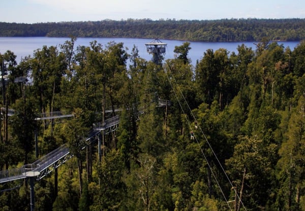 Adult Pass to The West Coast Treetop Walkway - Option for Child or Senior — photo 3
