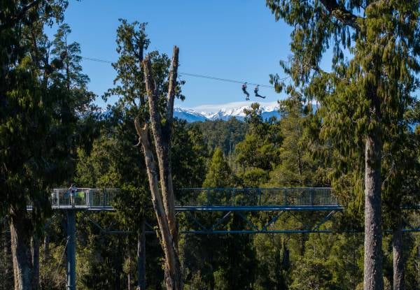 Adult Pass to The West Coast Treetop Walkway - Option for Child or Senior — photo 12