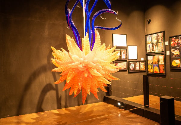 World-Class Spring Art Adventure at Sculptureum Matakana incl. Garden & Gallery Entry - Options for up to Six People or Family Pass — photo 11
