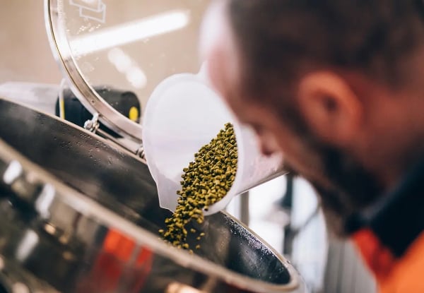 Brewery Tour at Emerson's Brewery Dunedin from $45 — photo 5
