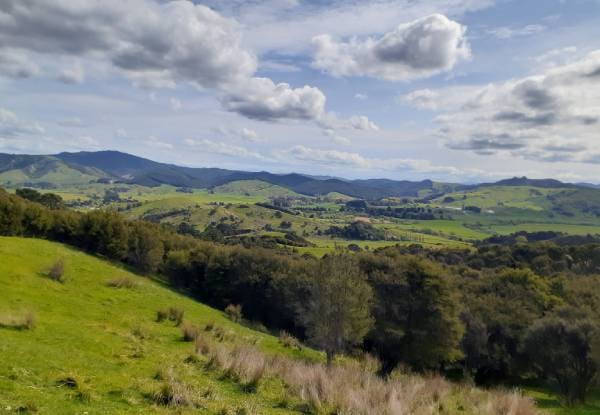 Two-Day / Two-Night Fully Catered Whareama Coastal Walk for Two People incl. Accommodation & Meals - Options for Groups up to Eight People — photo 11