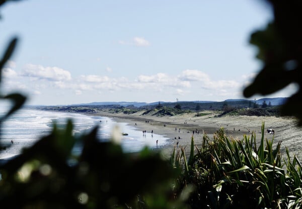 Group Beginner Surf Lesson at Muriwai Surf School — photo 5