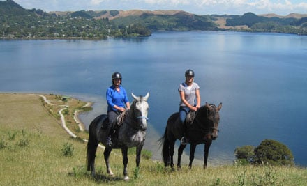 Horse Trekking Lake Okareka