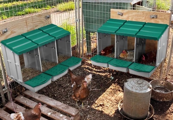 Three-Hole Chicken Nesting Box - Three Colours Available — photo 9