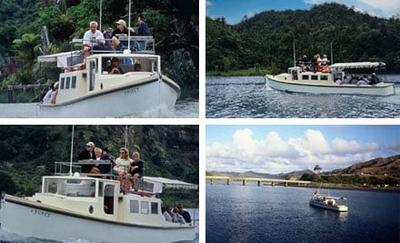 Mokau River Cruises