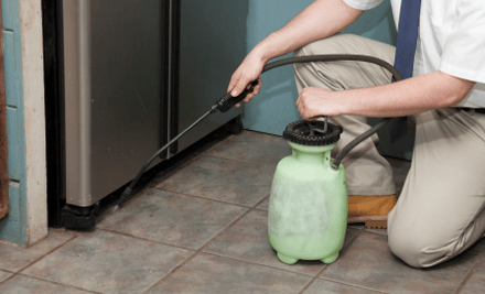 Rid Termites and Pest Managment