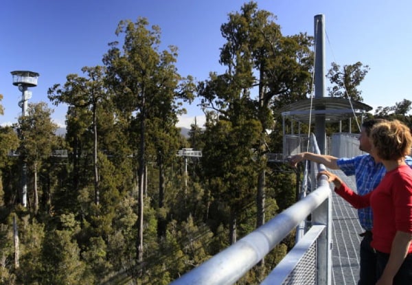 Adult Pass to The West Coast Treetop Walkway - Option for Child or Senior — photo 2